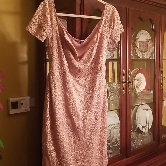 Plus Pink Lace Dress - Picture 1 of 5